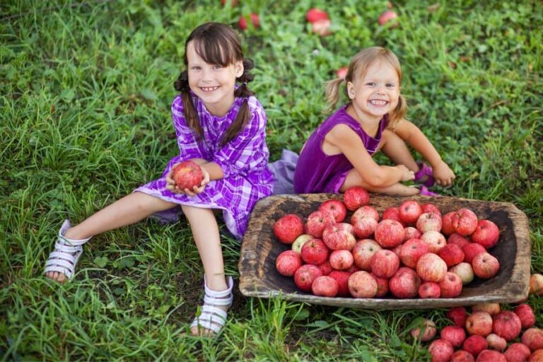 Bonnes Raisons De Manger Une Pomme Le Soir