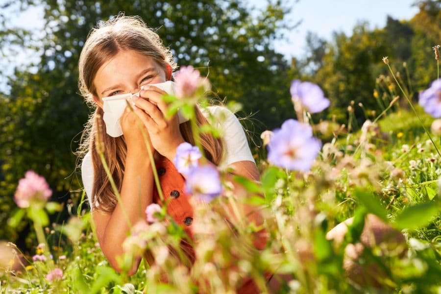 Traitements contre les allergies aux pollens