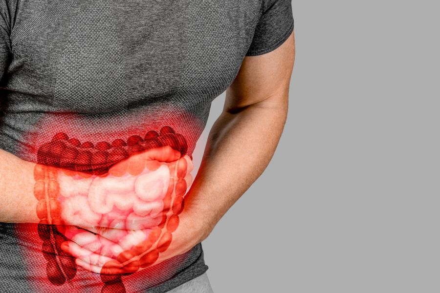 résultats des études sur microbiote intestinal et obésité
