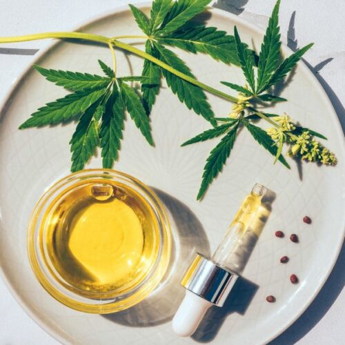 cbd pour chien stressé