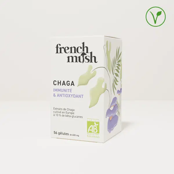 chaga french mush