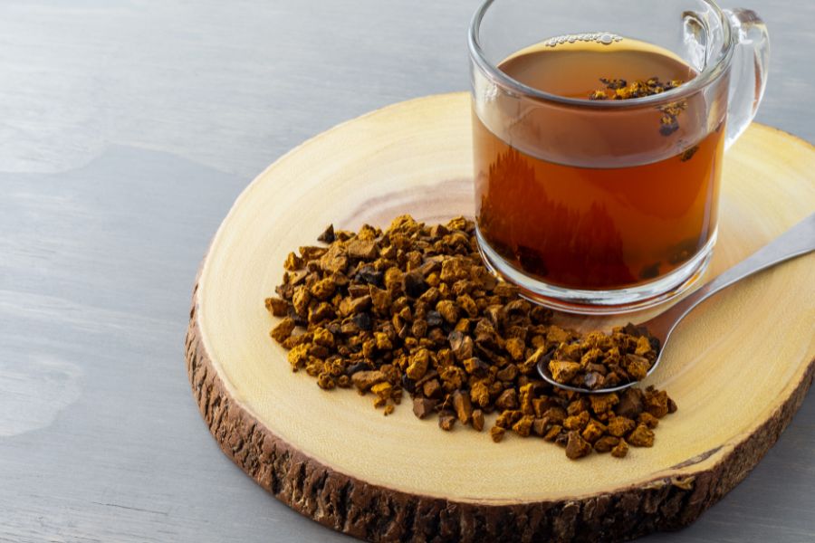 le chaga en infusion