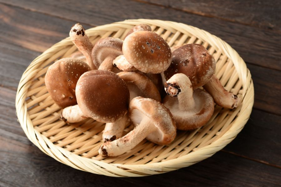 shiitake