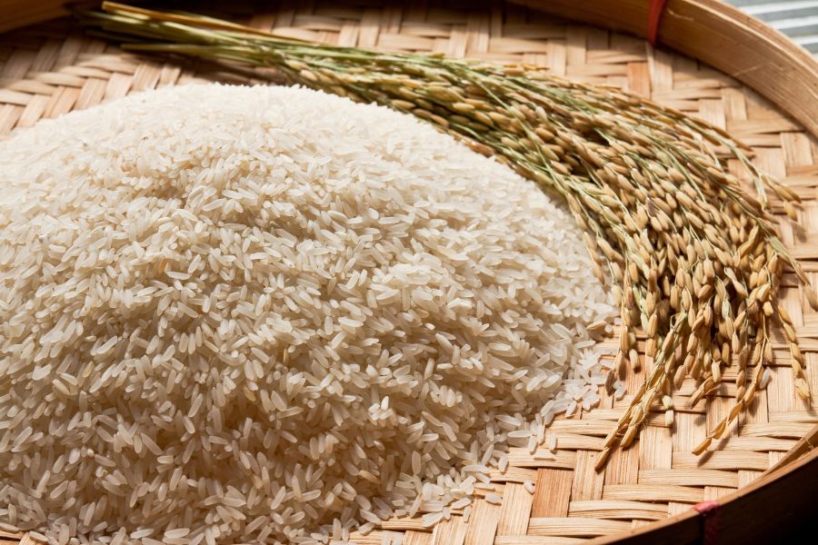 le riz est un aliment très facile à digérer