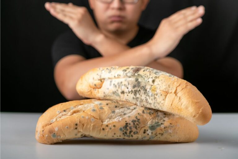 Peut-on donner du pain aux poules ? Les erreurs à éviter