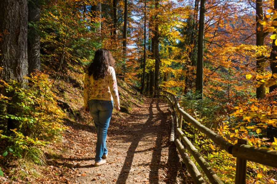 ballade en foret pour le microbiote